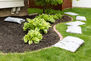 Mulch is an excellent way to keep new plantings healthy