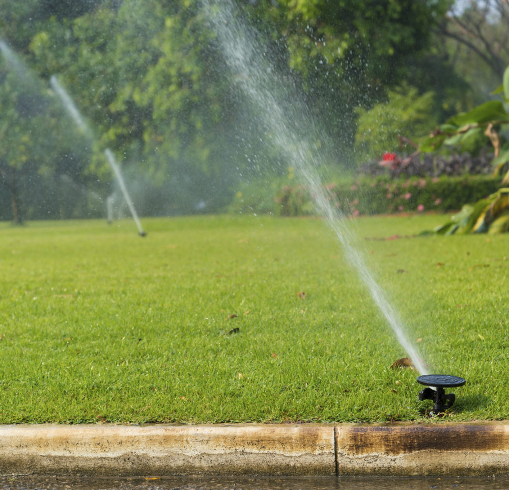 How to Properly Water Your Garden This Summer