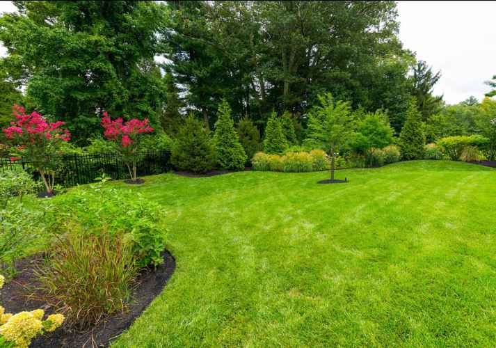 A vibrant, well-maintained garden in Delaware County, PA, features lush green grass, pink flowering trees, and a variety of shrubs. Complemented by expert landscaping services, the garden is bordered by a black fence and surrounded by dense trees under a cloudy sky.