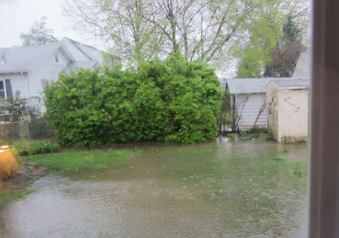 A backyard in Delaware County, PA, is flooded with rainwater, creating a large puddle. Green bushes and trees line the background. A small shed stands to the right, and overcast skies are reflected in the water, suggesting that outdoor living solutions could be enhanced by landscaping services.