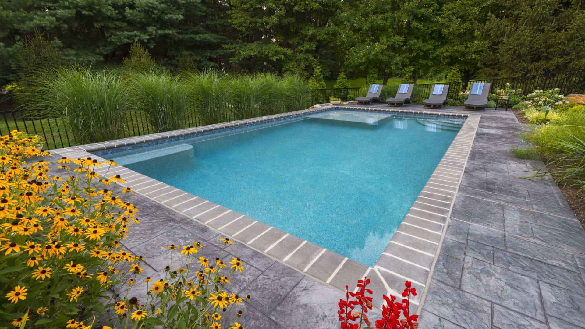 A rectangular swimming pool with clear blue water is nestled amidst professional landscaping services in Delaware County, PA. Surrounded by gray stone tiles and lounge chairs on one side, it features yellow and red flowers with tall grasses and lush green trees framing this outdoor living paradise.
