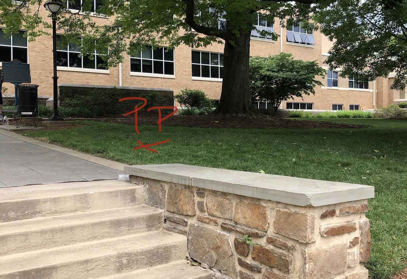 A stone retaining wall and steps lead up to a grassy area with a large tree, showcasing exceptional hardscaping services in Delaware County, PA. Behind it is a building with large windows. The letters 