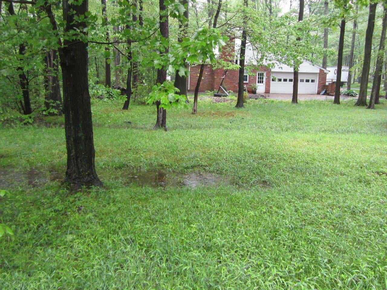 A lush, green backyard in Delaware County, PA, with rain-soaked grass and tall trees showcases the perfect canvas for expert landscaping services. A brick house with a white garage is nestled among the trees under a cloudy sky, inviting possibilities for enhancing outdoor living.