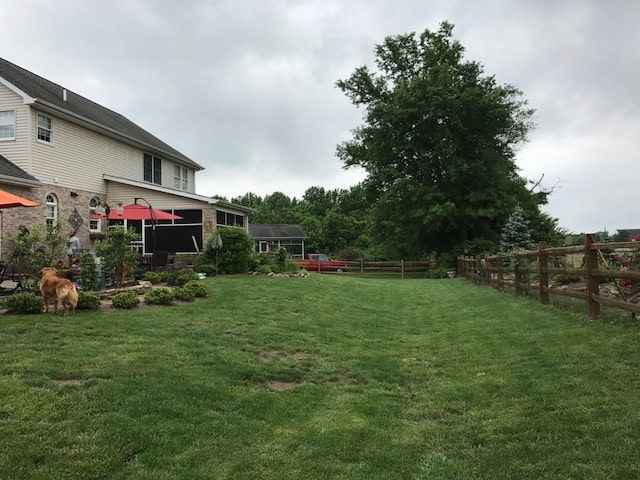 A suburban backyard features a large grassy area, wooden fence, and lush bushes beside a big tree. A tan dog stands near the house under an overcast sky, while red and orange umbrellas shelter patio furniture—an inviting space for those seeking enhanced outdoor living in Delaware County, PA.