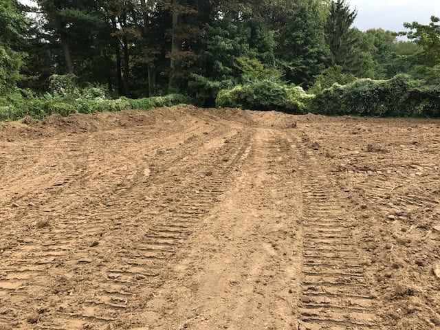 A clearing with disturbed soil and tire tracks, surrounded by dense green trees and bushes under a cloudy sky, hints at recent landscaping services in Delaware County, PA.