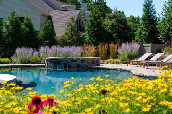 A backyard scene features a clear blue pool framed by vibrant yellow flowers and lounge chairs. Tall greenery and a house sit in the background, under a sunny sky—perfectly representing outdoor living in Delaware County, PA.