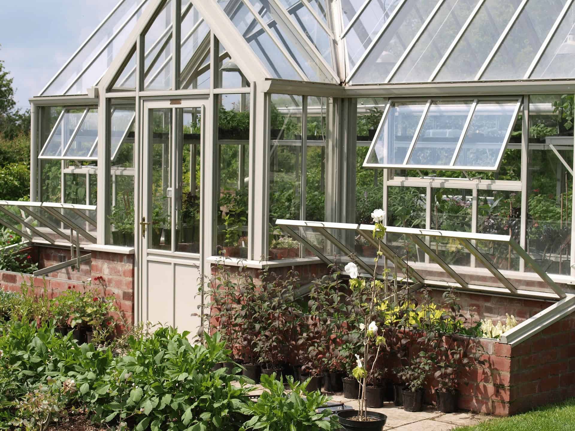 A greenhouse with glass walls and roof, several open windows, and potted plants arranged along the brick base outside. Lush greenery surrounds the structure under a clear sky.