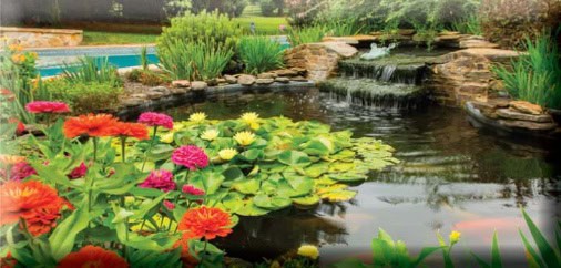 How to Winterize Ponds and Other Water Features