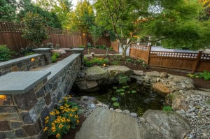 5 Tips on Keeping Fresh Landscape Installations Looking Great