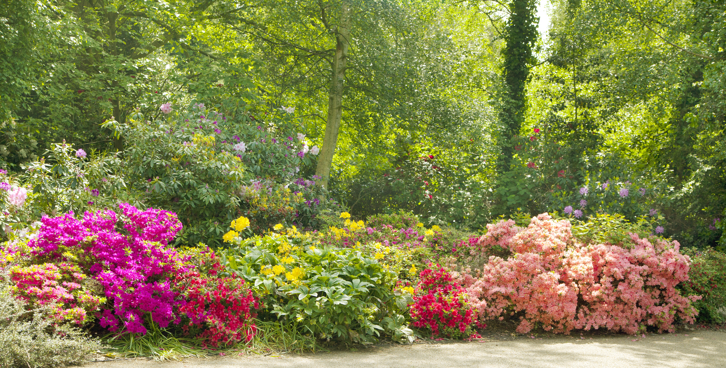 5 Tips on Keeping Fresh Landscape Installations Looking Great