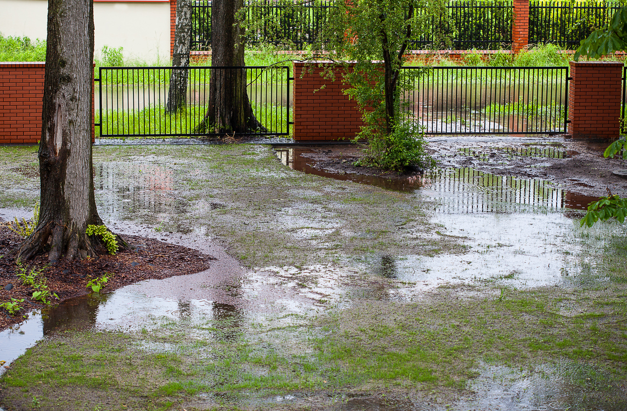 DRAINAGE FIXES TO PROTECT YOUR HOME & LANDSCAPING