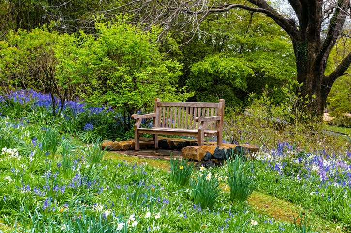 Secluded garden bench