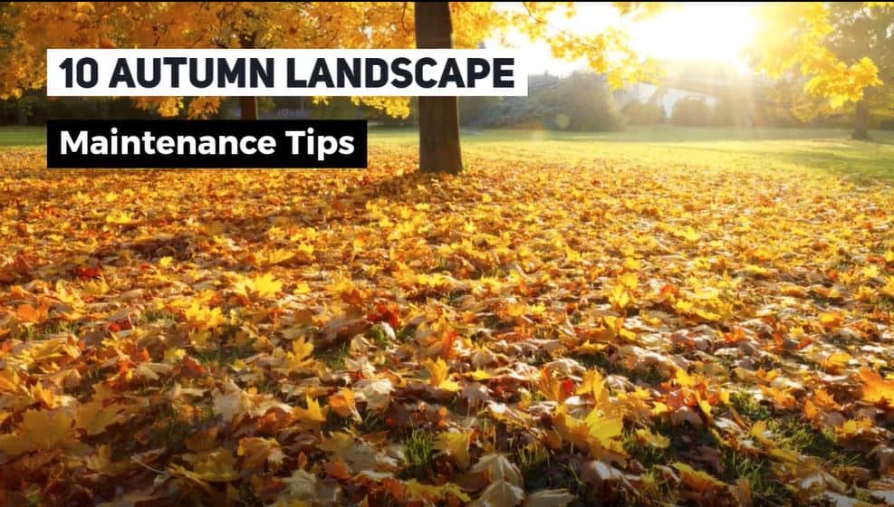 10 Autumn Landscape Maintenance Tips