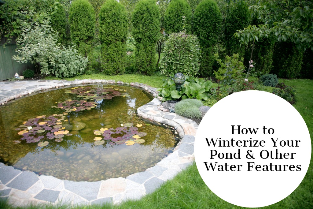 how to winterize your pond