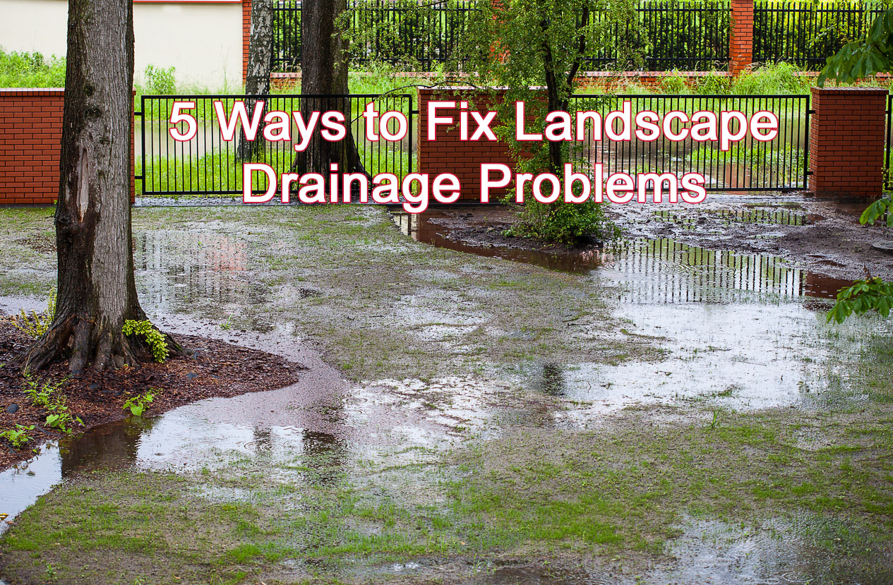 Fix Landscape Drainage Problems, Landscape Drainage Repair