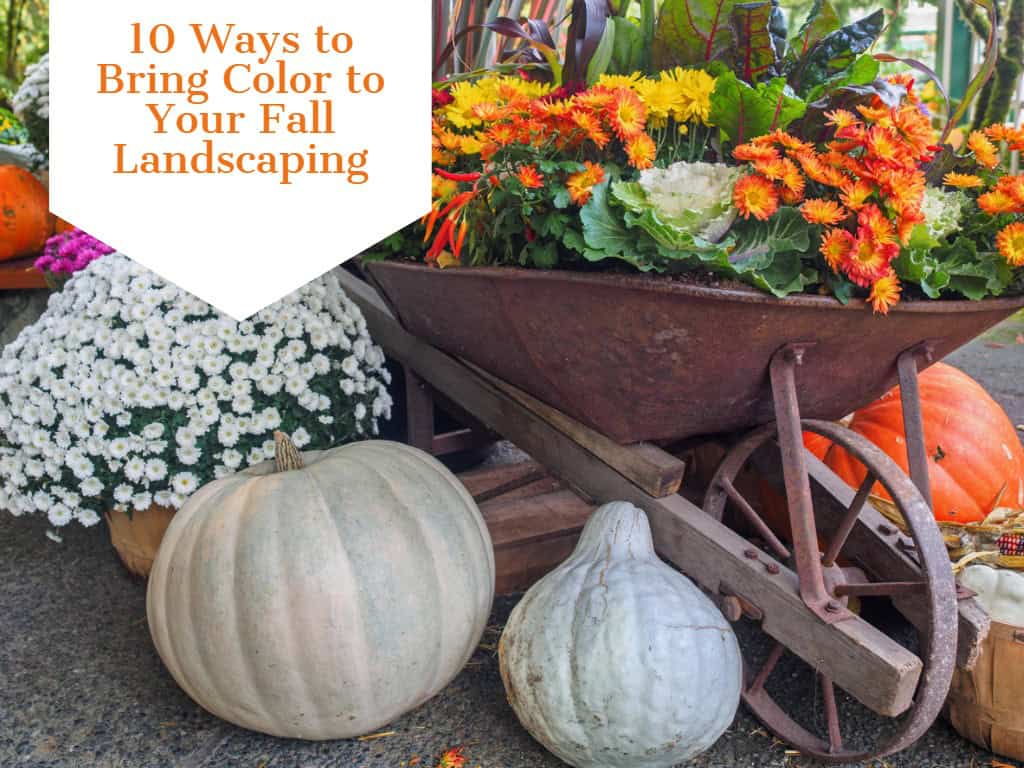 10 Ways to Bring Color to Your Fall Landscaping