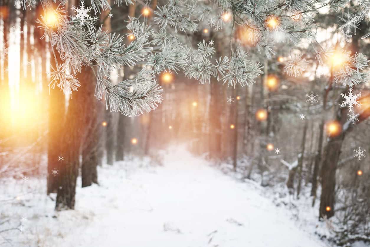 Winter Landscape Lighting