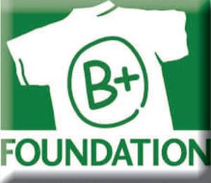 B+ Foundation