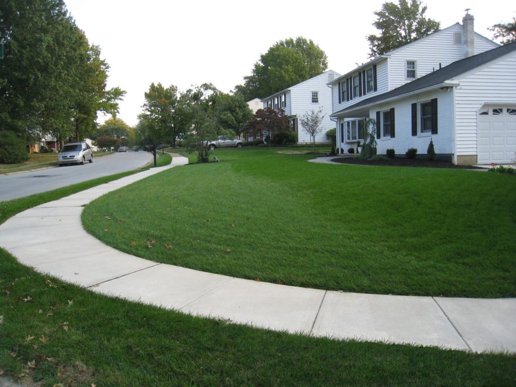 Outdoor Drainage Repair Experts in DE And PA