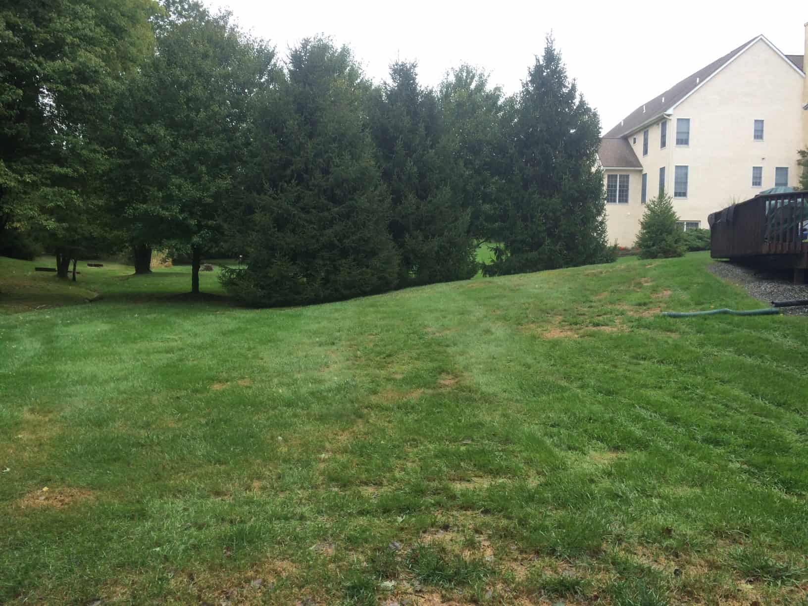 A sloping grassy backyard leads up to a row of tall evergreen trees, showcasing the artistry of landscaping services in Delaware County, PA. In the background, a large beige house with windows and a wooden deck on the right complements the serene outdoor living scene under an overcast sky.