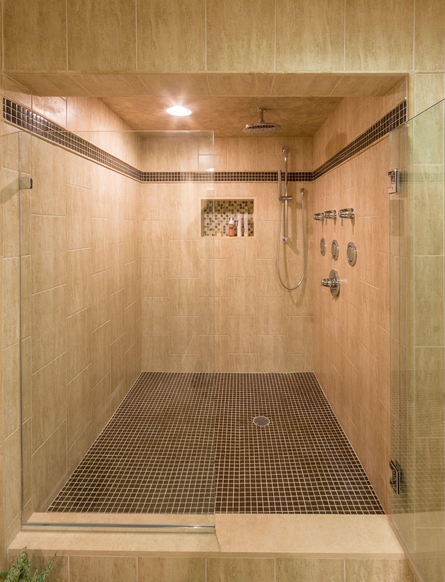 Custom Shower Interior Renovations