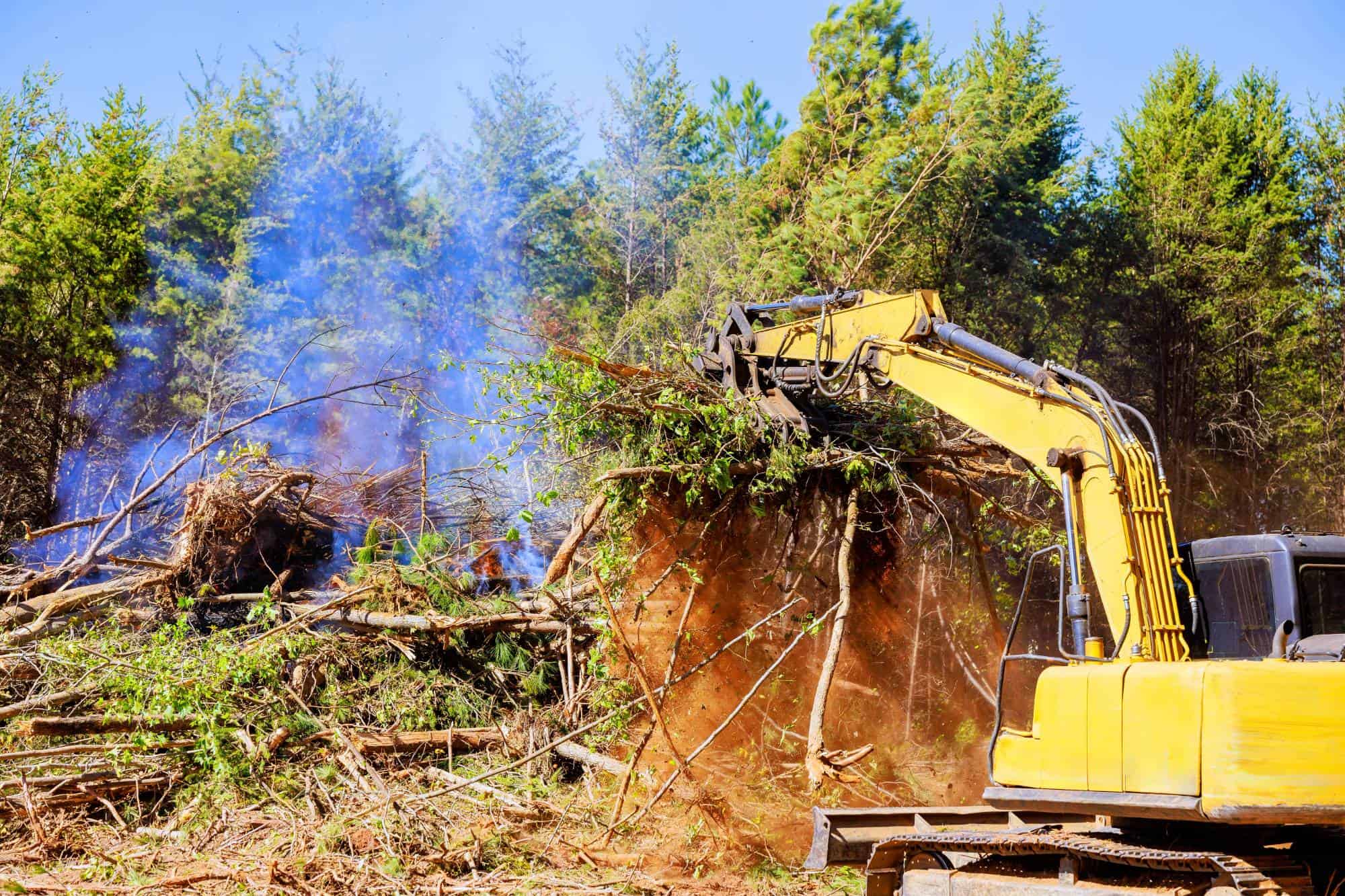 A yellow excavator clears trees and brush in a forested area, creating a pile with smoke rising in the background on a sunny day.