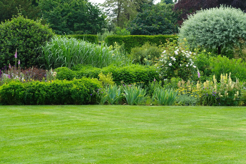 A lush, green lawn bordered by a vibrant garden with various shrubs, tall grasses, flowering plants, and leafy trees; the landscape appears well-maintained and serene.