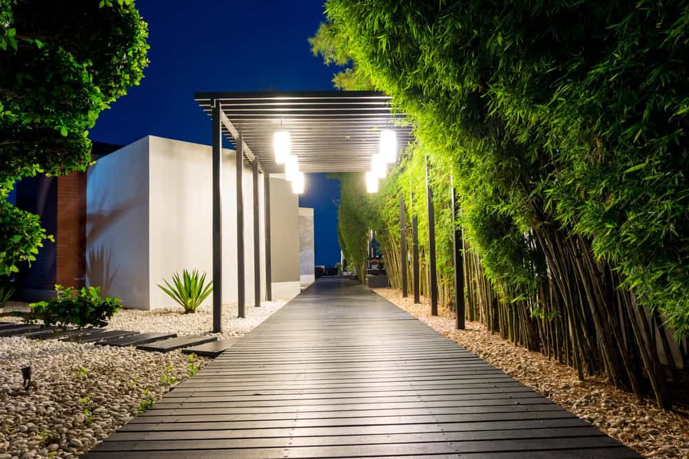 A modern garden walkway at night features overhead lights, a wooden path, and lush green bamboo on one side, leading to a white building with minimalist landscaping.